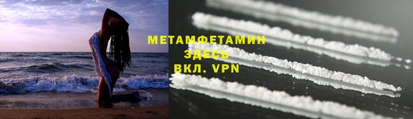индика Володарск