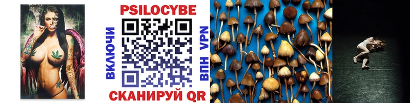 дарнет шоп  hydra ССЫЛКА  Галлюциногенные грибы мицелий  Брюховецкая 